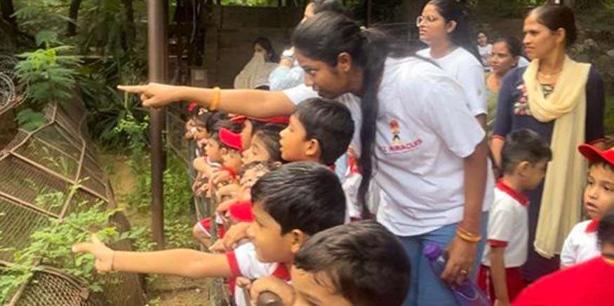 The Importance of Field Trips in Gaining Practical Knowledge for Little Kids