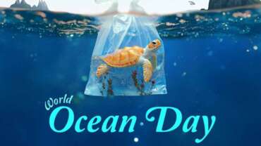 Honouring World Oceans Day at Li’l Miracles International Preschool