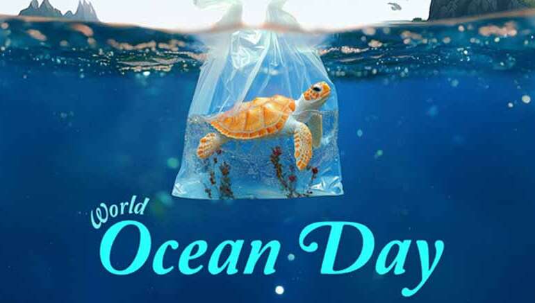 Honouring World Oceans Day at Li’l Miracles International Preschool