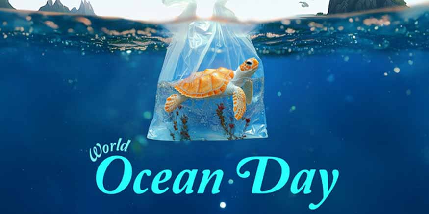 Honouring World Oceans Day at Li’l Miracles International Preschool